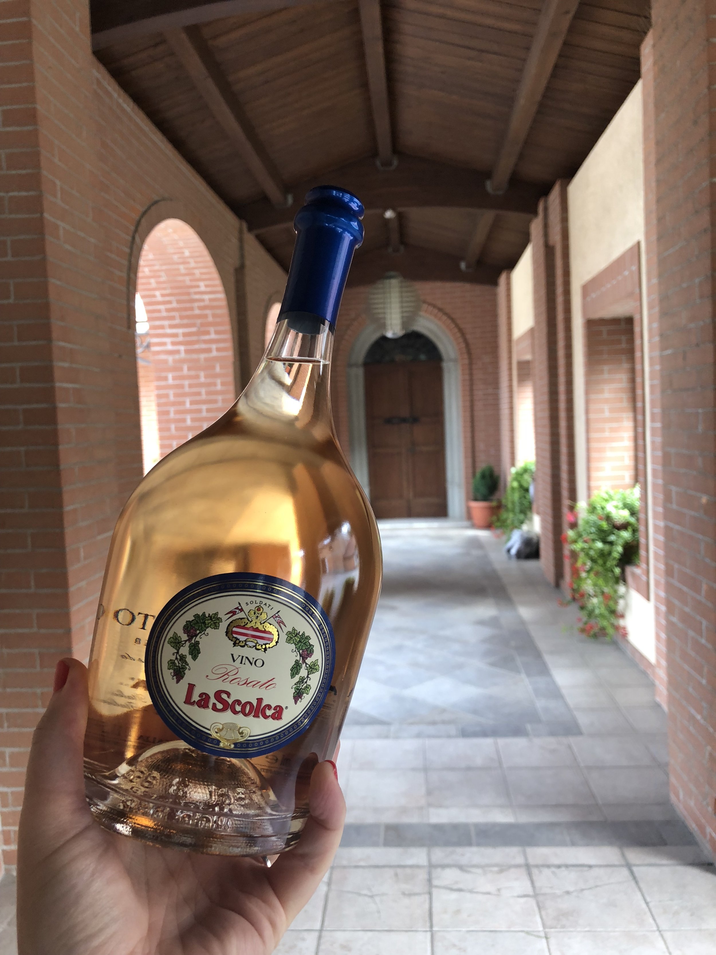 Gavi wine, what is it, where is it from?