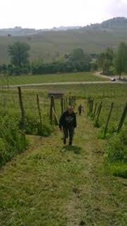 easy-breezy-brezza-05_original